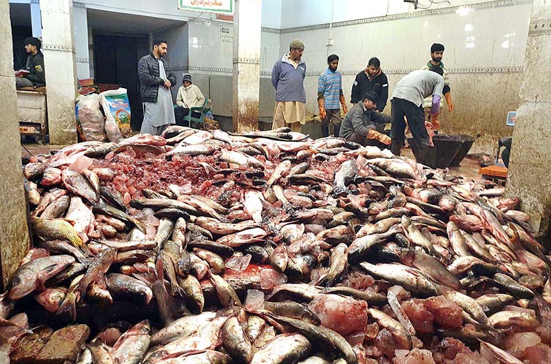 Customers busy in selecting and purchasing fish at fish market near Ganj Mandi