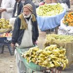 A laborer on his way carrying banana on his wheelbarrow at fruits and vegetables Market in Federal Capital