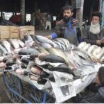 A vendor selling fish at vegetables Market in Federal Capital