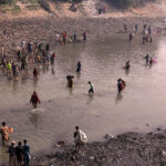 A large number of youngster catching the fishes at phuleli canal during cleaning operation of the canal by the Irrigation Department.