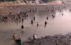 A large number of youngster catching the fishes at phuleli canal during cleaning operation of the canal by the Irrigation Department. 