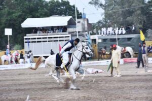 Horse riders aiming their target in the Tent Pegging Championship 2023 organized by the Directorate of Farms at University of Agriculture, Faisalabad (UAF