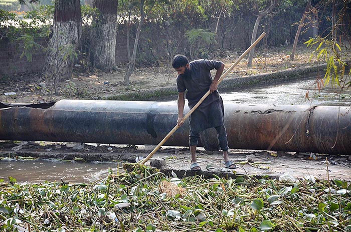 A worker of Irrigation Department cleaning heap of garbage from Rakh Branch Canal.