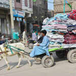 A donkey cart holder on the way loaded with quilts at Afandi town road