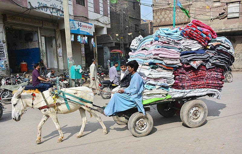 A donkey cart holder on the way loaded with quilts at Afandi town road