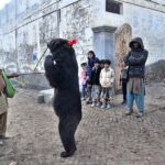 A juggler showing bear dance with his bear in the street