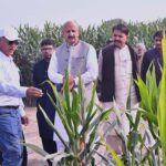 Director General Federal Seed Certification & Registration Department, Muhammad Azam Khan and the Registrar Dr. Hayatullah Tareen along with their staff visit the Maize Research Station of Kissan Seed Corporation at Qasba Marral