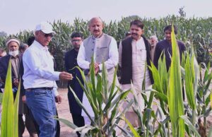 Director General Federal Seed Certification & Registration Department, Muhammad Azam Khan and the Registrar Dr. Hayatullah Tareen along with their staff visit the Maize Research Station of Kissan Seed Corporation at Qasba Marral