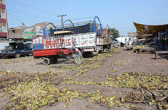 A view of garbage spreading at Vegetable Market needs the attention of the concerned authorities.