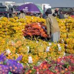 A street vendor on his way carrying oranges on a wheelbarrow at Islamabad Fruit and Vegetable market