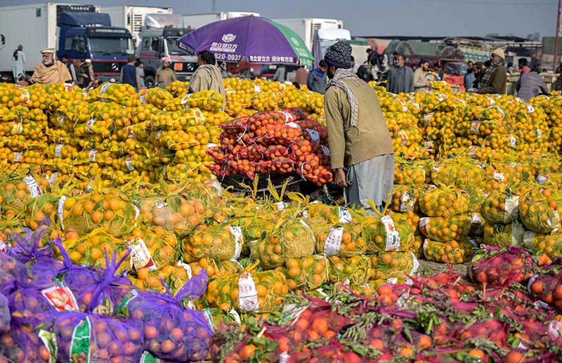 A street vendor on his way carrying oranges on a wheelbarrow at Islamabad Fruit and Vegetable market