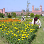 December 08 - PHA workers hoeing the park near Lahore Railway Station with colorful seasonal flowers and plants.