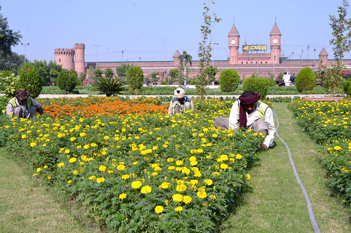 December 08 - PHA workers hoeing the park near Lahore Railway Station with colorful seasonal flowers and plants.
