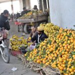A vendor selling fruits at his roadside setup