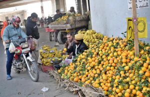 A vendor selling fruits at his roadside setup