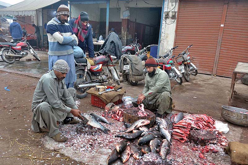 A fish seller cleaning fish to attract customers at their setup in the wholesale fish market