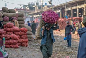 A vendor displaying seasonal fruit oranges for bidding to attract customers at Islamabad Fruit and vegetable market