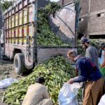 Workers off-loading corn cobs from a delivery truck at Pirwadhai