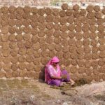 An elderly woman preparing dung cakes to use as fuel in a village.