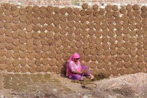 An elderly woman preparing dung cakes to use as fuel in a village.
