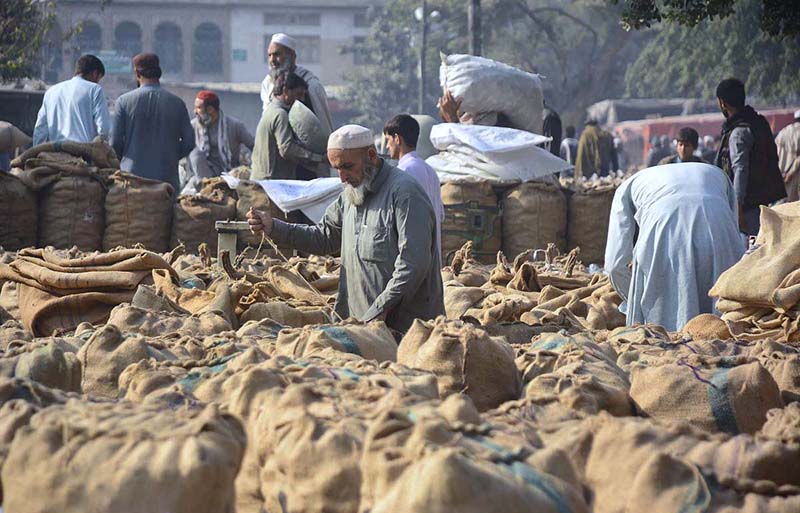 Vendors busy in filling sacks with traditional sweet ‘Gur’ for selling purpose at Gur Mandi