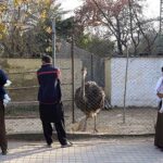 Families enjoy in a Zoo at Rawal Lake Park in the Federal Capital