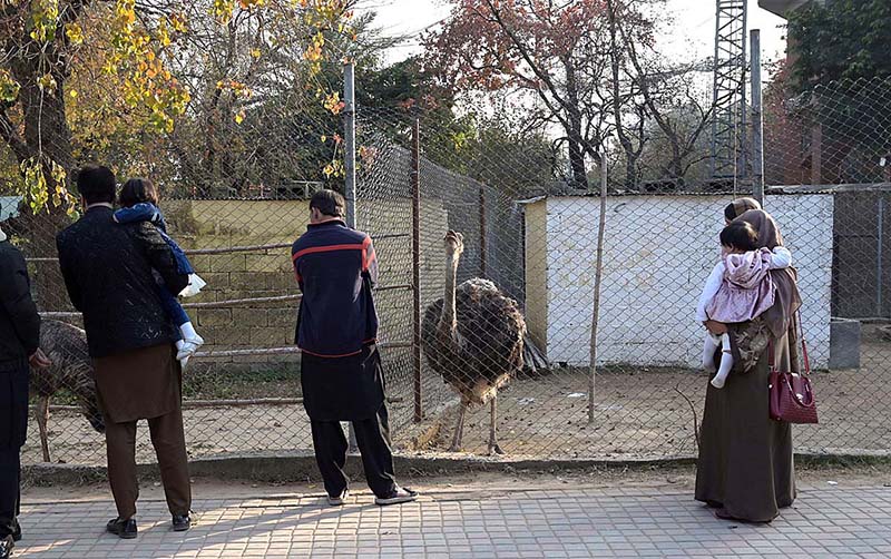 Families enjoy in a Zoo at Rawal Lake Park in the Federal Capital