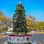 CDA workers display a Christmas tree in connection with upcoming Christmas at F-6 in the Federal Capital