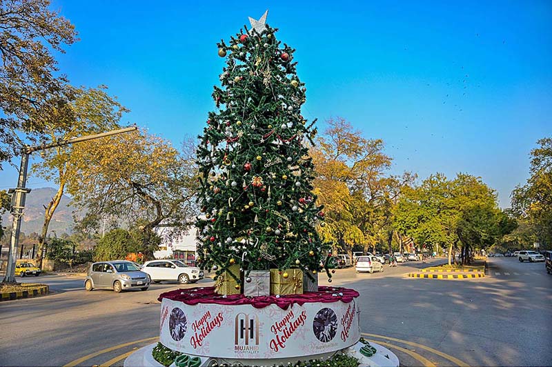 CDA workers display a Christmas tree in connection with upcoming Christmas at F-6 in the Federal Capital