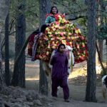 Visitor enjoys camel ride at the picnic spot Daman e Koh