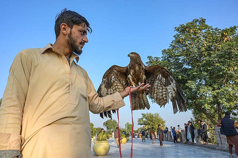 A vendor displaying eagle to attract customers at Rawal Lake Park in the Federal Capital
