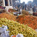 Traders displaying seasonal fruit oranges to attract the customers at fruit market