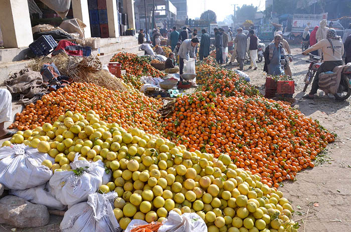 Traders displaying seasonal fruit oranges to attract the customers at fruit market