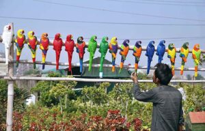 Vendor displaying replica of parrots to attract the customers at Edigah Road.