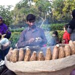 Vendor displaying roasted sweet potatoes to attract the customers