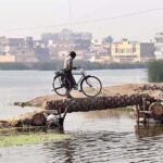 A person crossing the water pond through tree trunk temporary bridge near Qasimabad.