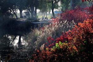 An attractive and eye catching view of leaves of trees change colour at Rawal Lake as the Autumn season starts in Federal Capital