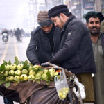A street vendor selling guavas in middle of the road