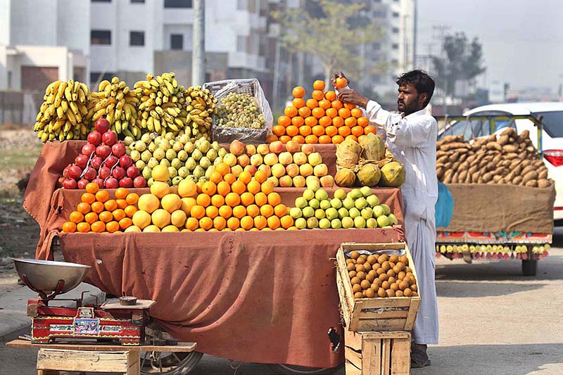 A roadside vendor displaying seasonal fruits to attract the customer at jail road