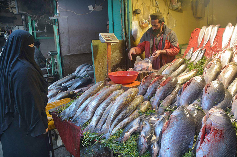 Vendor selling and displaying fish during cold weather to attract the customers at Ghanta Ghar Chowk