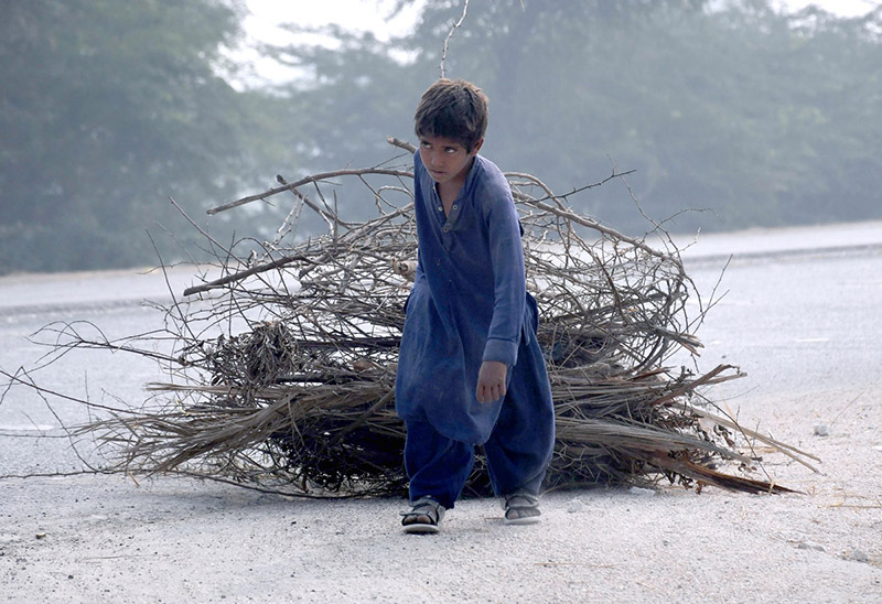 A child is dragging firewood collected for household use near Bakrani Road