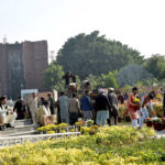 PHA staff is busy in preparations of Gul-e-Daudi Flower Exhibition