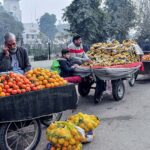 Vendors selling and displaying seasonal fruits at their roadside setup