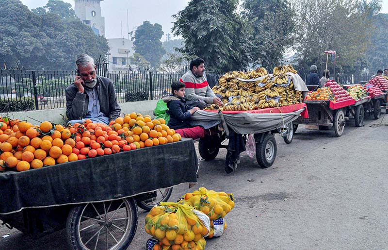 Vendors selling and displaying seasonal fruits at their roadside setup