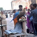 Family enjoying during a holiday at the Royal Fort.