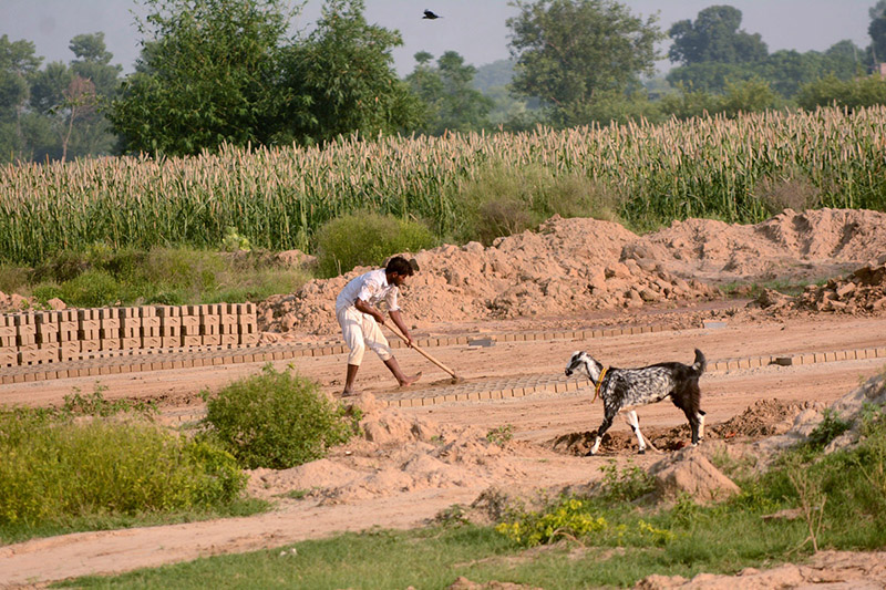 A laborer is preparing mud bricks