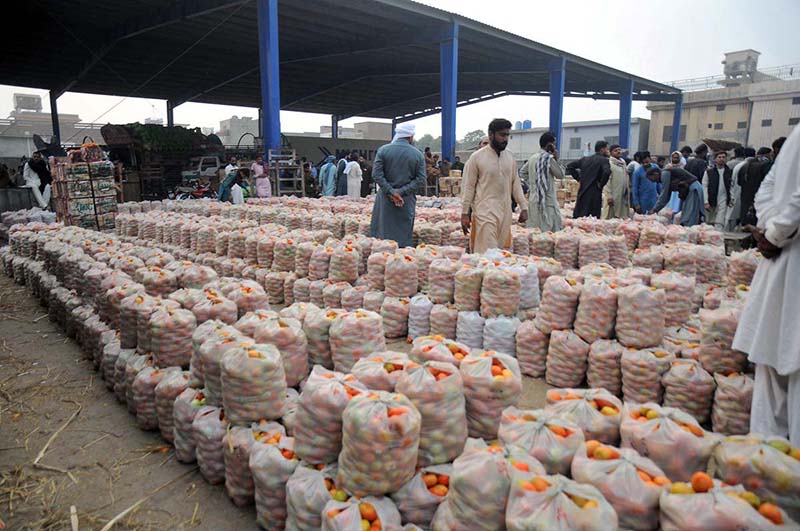 Vendor displaying tomato bags for bidding at Vegetable Market