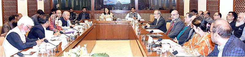 Senator Mrs. Rubina Khalid, Chairperson Senate Standing Committee on Maritime Affairs presiding over a meeting of the committee at Parliament House