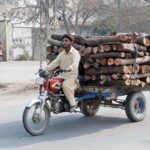 Motorcycle cart loaded with Tree-laden on its way in the city