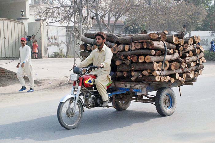 Motorcycle cart loaded with Tree-laden on its way in the city